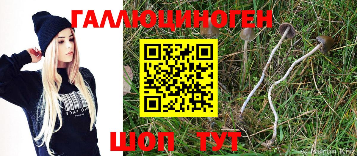Галлюциногенные грибы MAGIC MUSHROOMS Тихорецк
