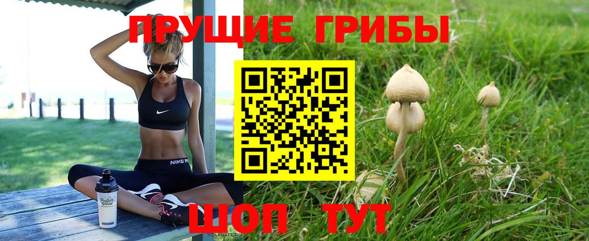 Тихорецк  Галлюциногенные грибы Magic Shrooms  Вход с VPN  Галлюциногенные грибы прущие грибы 